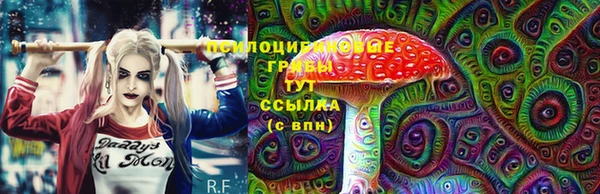 гидропоника Абаза