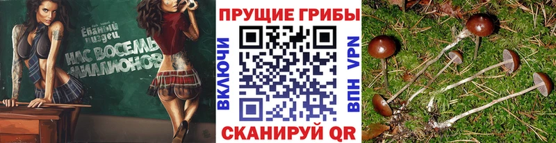 Галлюциногенные грибы MAGIC MUSHROOMS  Кизилюрт 
